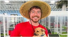 MrBeast eyes to start a new YouTube channel focusing on financial literacy MrBeast