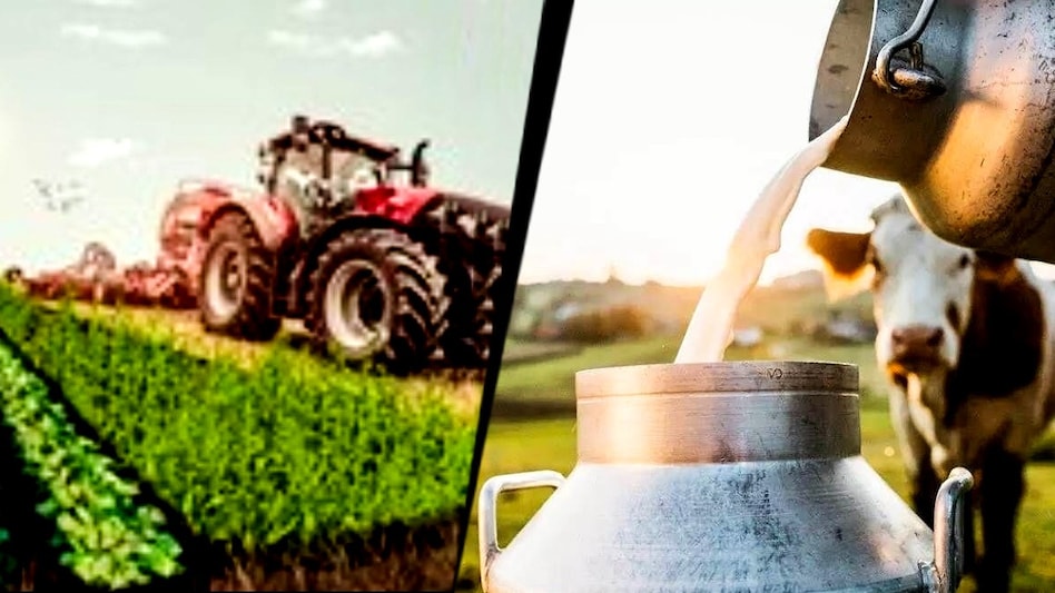 Protecting farmers: Dairy and key agri products are excluded from New Zealand FTA Protecting farmers: Dairy and key agri products are excluded from New Zealand FTA