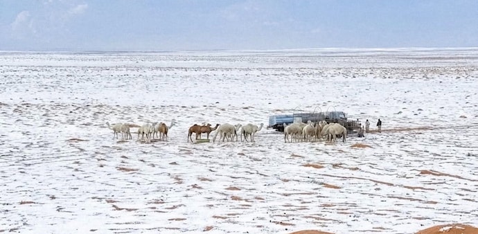 Saudi Arabia sees first snowfall in 3 decades. What really is happening? Saudi Arabia sees first snowfall in 3 decades. What really is happening?