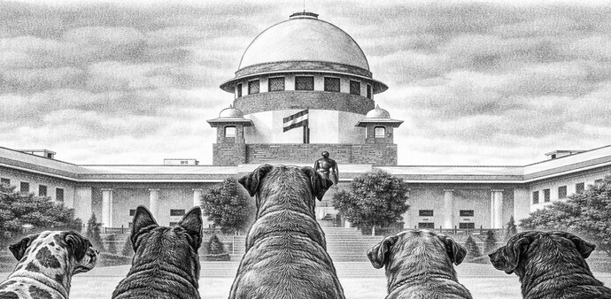 The Supreme Court on Tuesday warned the Centre and state governments of heavy compensation for every stray dog bite and related deaths. The Supreme Court on Tuesday warned the Centre and state governments of heavy compensation for every stray dog bite and related deaths.