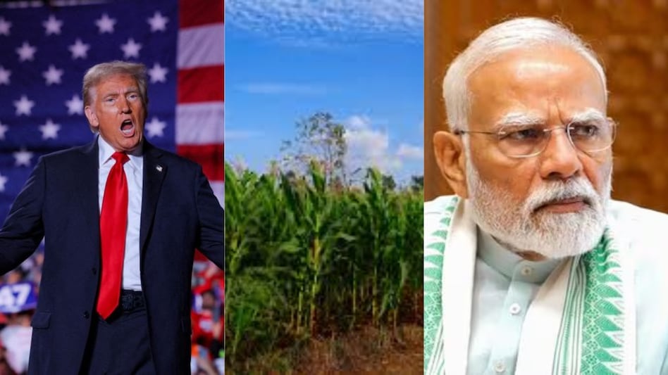 One of the major points of disagreement between India and the United States is the agriculture sector. One of the major points of disagreement between India and the United States is the agriculture sector.