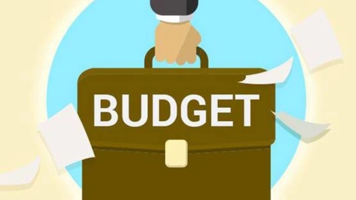 Budget 2026: What is expenditure budget, what are its key components? 