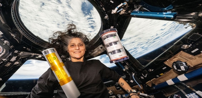Williams also said astronauts avoid driving immediately after their return, as reaction times may be slower during the initial recovery phase. Williams also said astronauts avoid driving immediately after their return, as reaction times may be slower during the initial recovery phase.