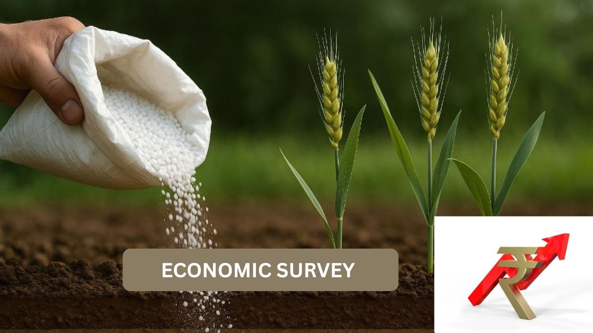 Economic Survey 2025-26: Economic Survey flags a urea price reset, backs direct cash transfers to farmers