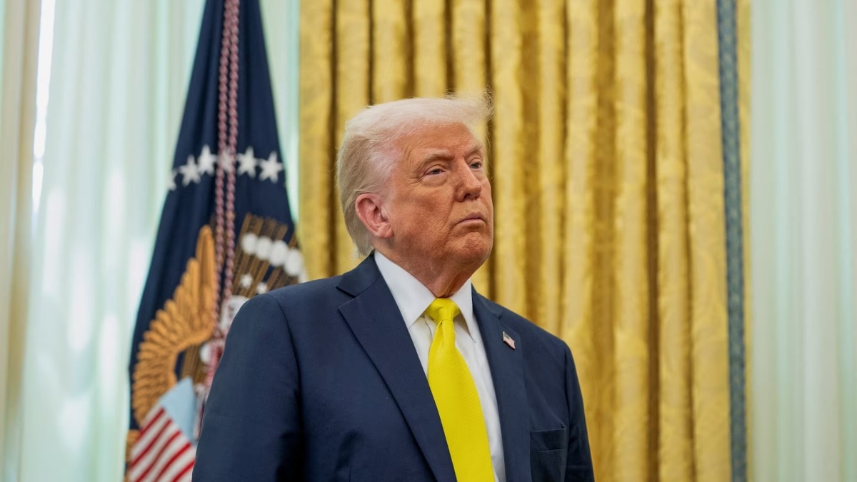 Why 50%, impose 10 bazillion percent, says expert on Trump tariffs on Canada Why 50%, impose 10 bazillion percent, says expert on Trump tariffs on Canada