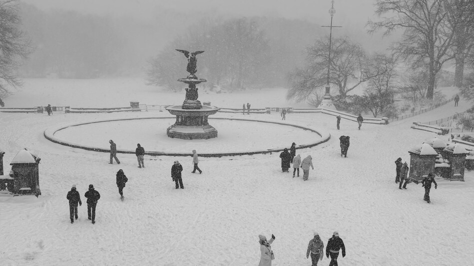 Meteorologists attribute the bone-chilling conditions to persistent high-pressure systems over Greenland and parts of the western United States, funnelling Arctic air southward across the eastern seaboard and central US. Meteorologists attribute the bone-chilling conditions to persistent high-pressure systems over Greenland and parts of the western United States, funnelling Arctic air southward across the eastern seaboard and central US.
