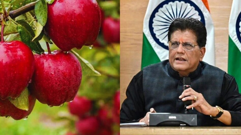 Piyush Goyal says US deal won't hurt apple growers Piyush Goyal says US deal won't hurt apple growers