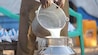 Adulterated milk racket busted in Gujarat; 1,370 litres of milk destroyed Adulterated milk racket busted in Gujarat; 1,370 litres of milk destroyed
