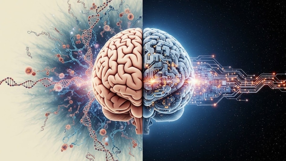 While cutting-edge AI models run on vast computing clusters, the human brain operates on about 20 watts of power, less than a household light bulb. While cutting-edge AI models run on vast computing clusters, the human brain operates on about 20 watts of power, less than a household light bulb.