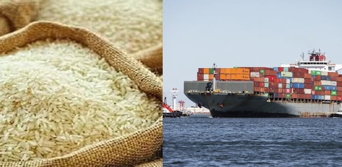 Iran war impact: Indian basmati held up at ports and in transit Iran war impact: Indian basmati held up at ports and in transit