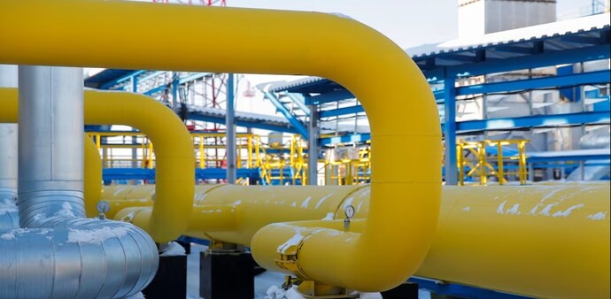 Shamika Ravi warns India’s dual reliance on LPG and transport fuels leaves households exposed Shamika Ravi warns India’s dual reliance on LPG and transport fuels leaves households exposed