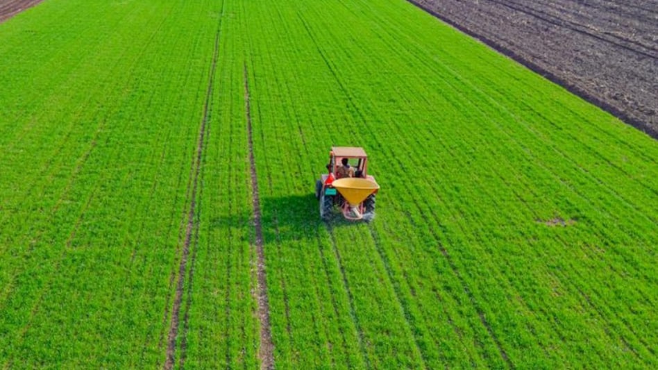 As of September 2025, it had 524 registrations across agrochemical formulations and technicals, 102 granted patents, and 108 patent applications in process. As of September 2025, it had 524 registrations across agrochemical formulations and technicals, 102 granted patents, and 108 patent applications in process.