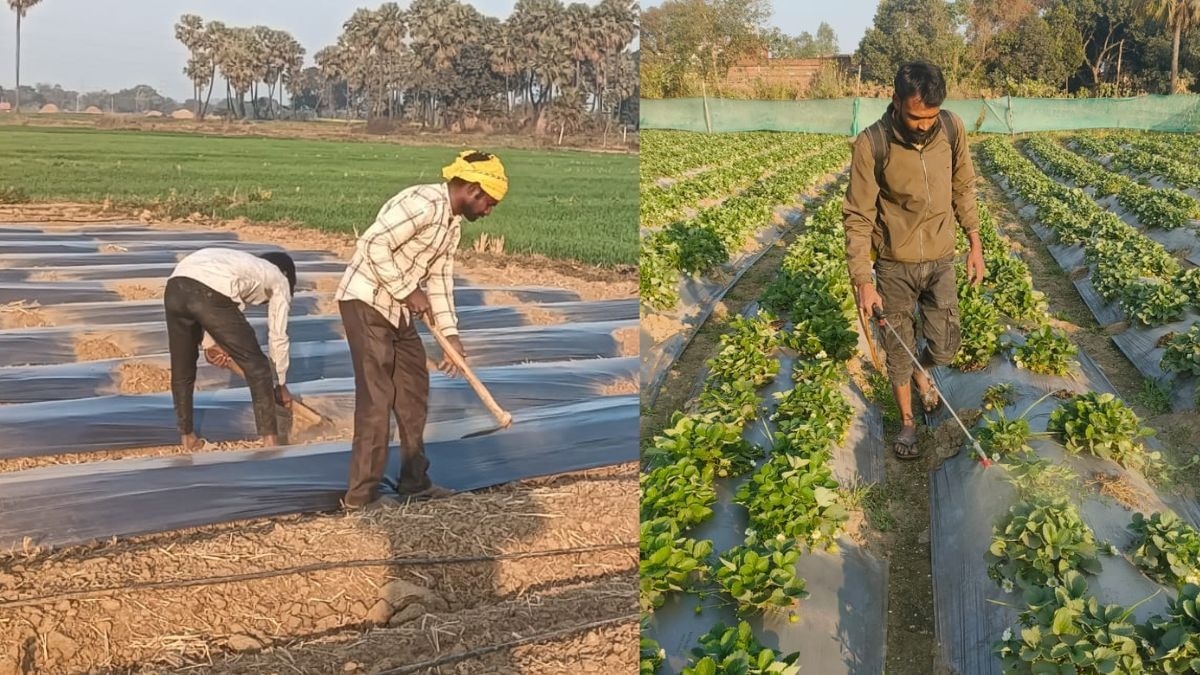 PM-KISAN installment today: 22nd payout to be disbursed today, over Rs 18,640 cr to reach 9.32 cr farmer families