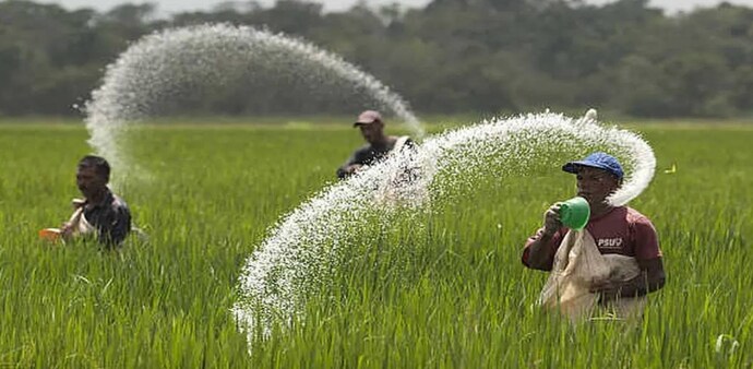 India isn’t atmanirbhar in fertilisers yet India isn’t atmanirbhar in fertilisers yet