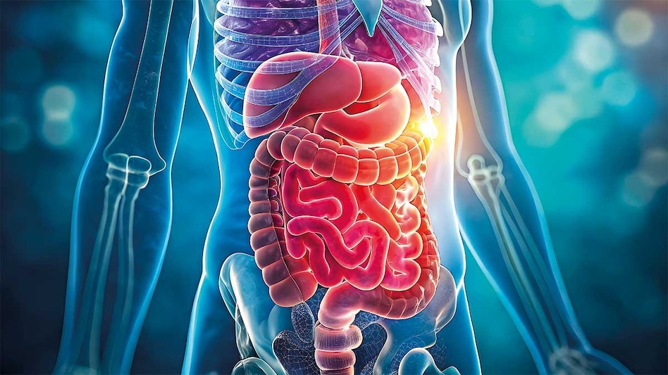 Health startup bags $1 million to tap India’s $197 billion care gap Health startup bags $1 million to tap India’s $197 billion care gap