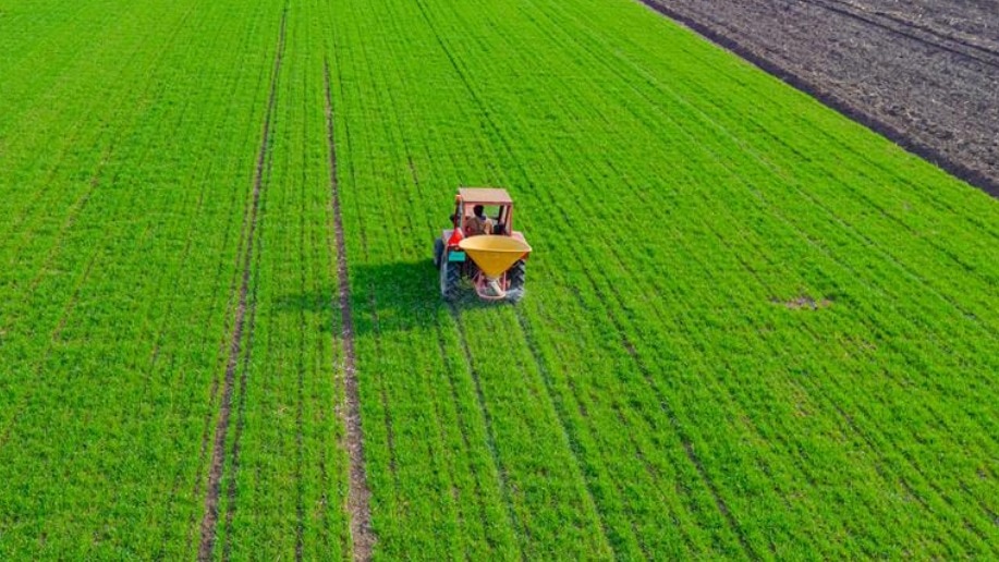 Ahmedabad-based GSP Crop Science is an agrochemical company engaged in the business of manufacturing insecticides, herbicides, fungicides and plant growth regulators.