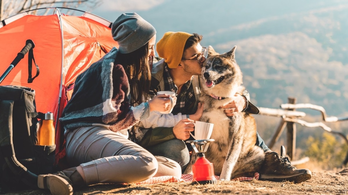 The post quickly sparked debate in the comments section, with some users pushing back against the idea that the trend is driven primarily by child-free households. (Representational photo)