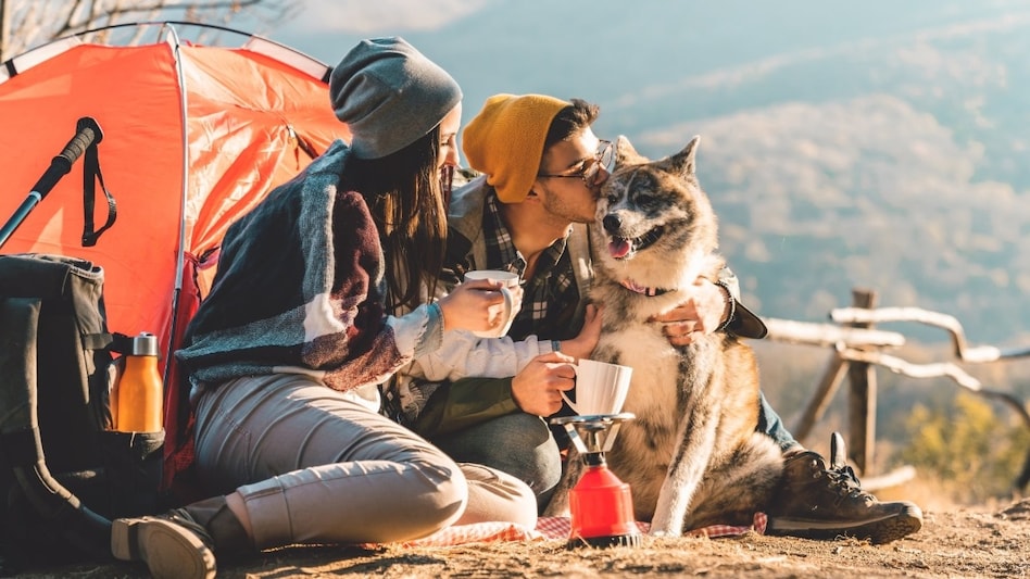 The post quickly sparked debate in the comments section, with some users pushing back against the idea that the trend is driven primarily by child-free households. (Representational photo) The post quickly sparked debate in the comments section, with some users pushing back against the idea that the trend is driven primarily by child-free households. (Representational photo)