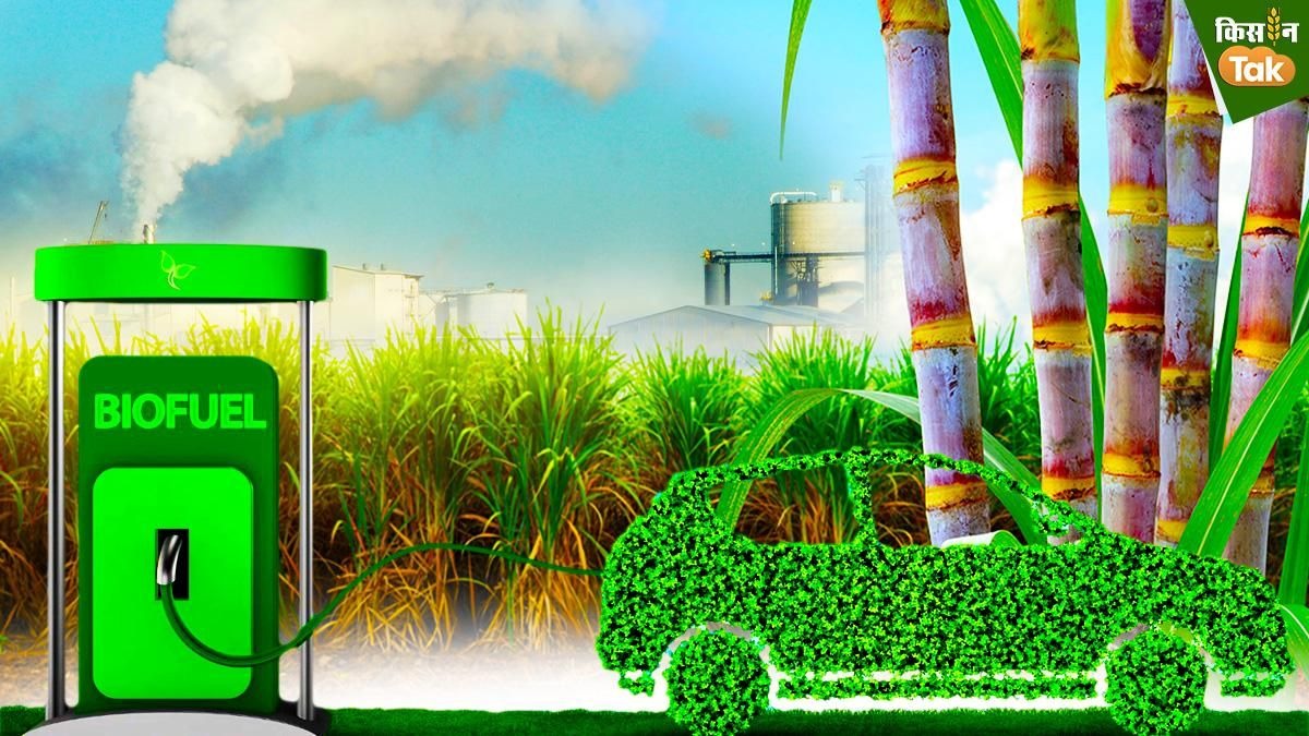 Ethanol boom isn’t enough: What India must fix in bioenergy push