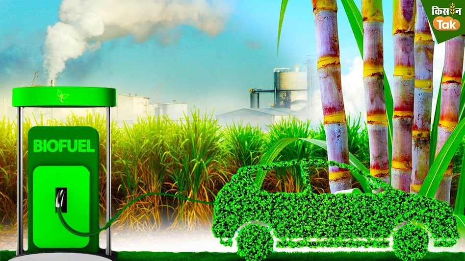 Ethanol boom isn’t enough: What India must fix in bioenergy push Ethanol boom isn’t enough: What India must fix in bioenergy push