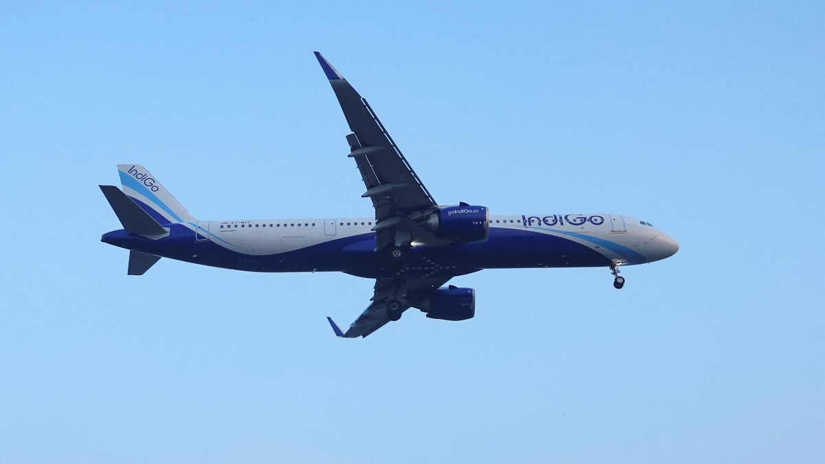 IndiGo noted government intervention allowing only a 25% staggered fuel cost pass-through has helped limit fare hikes and protect affordability.