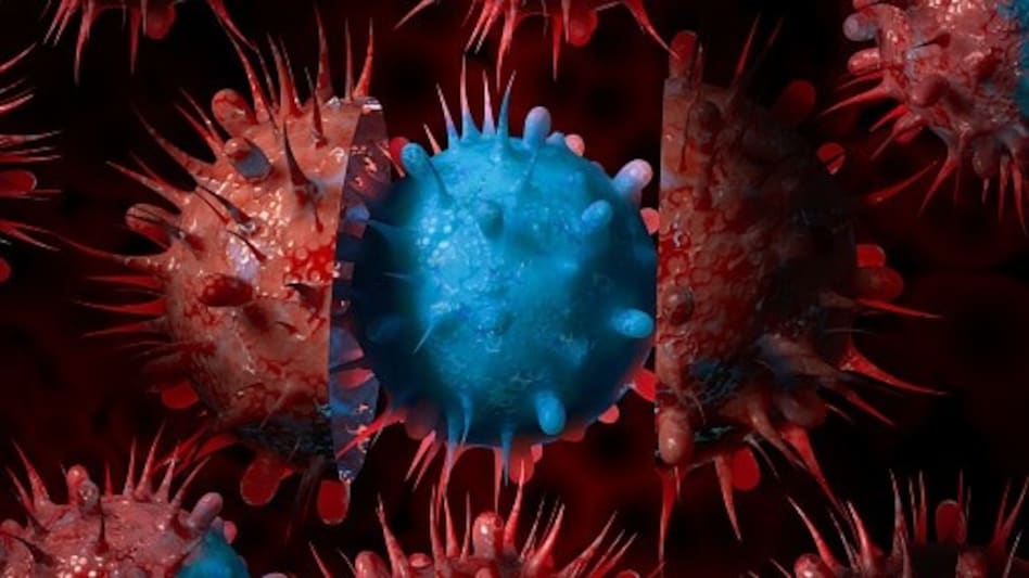 From dormant to spreading: 'Cicada' COVID variant returns with immunity-evading mutations From dormant to spreading: 'Cicada' COVID variant returns with immunity-evading mutations