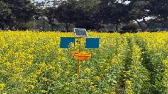 A sector-wise analysis reveals that solar power continued to dominate the renewable energy space in India.