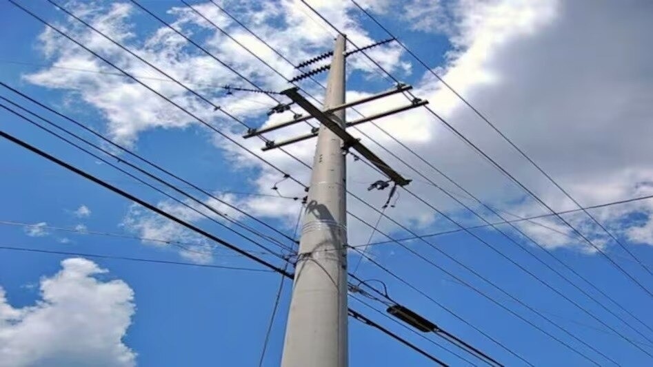 The growth outlook for Genus Power is closely linked to the government’s push to modernise India’s electricity distribution system through smart metering.