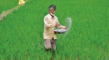 Shattered dreams: How India’s nano fertiliser strategy came a cropper Shattered dreams: How India’s nano fertiliser strategy came a cropper