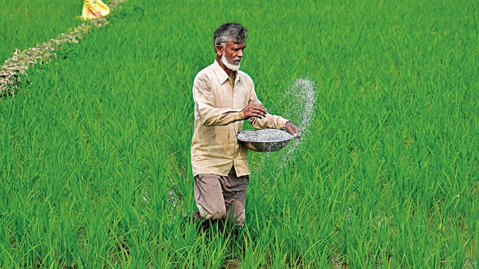 Shattered dreams: How India’s nano fertiliser strategy came a cropper Shattered dreams: How India’s nano fertiliser strategy came a cropper