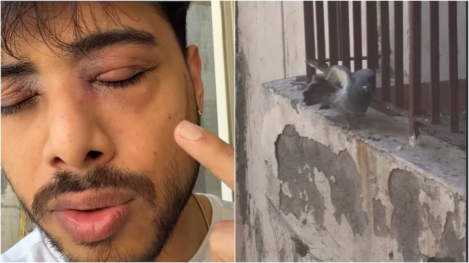 The video has struck a chord with many viewers across NCR, with several users sharing similar experiences and frustrations. The video has struck a chord with many viewers across NCR, with several users sharing similar experiences and frustrations.