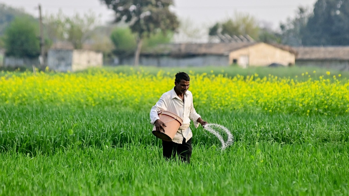 India to import record urea at double price