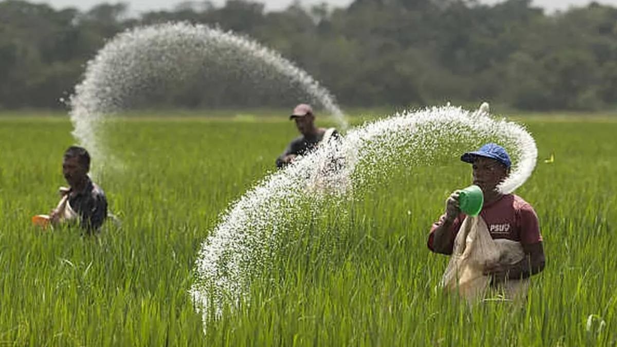 Supply shock at sea, subsidy strain at home: Fertiliser imports threaten India's fiscal math