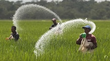Supply shock at sea, subsidy strain at home: Fertiliser imports threaten India's fiscal math The fiscal math may have already come under pressure