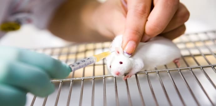 Unlike most hantaviruses, which spread to humans through infected rodents, the Andes virus has caused limited outbreaks among close contacts in parts of South America, especially Argentina and Chile. Unlike most hantaviruses, which spread to humans through infected rodents, the Andes virus has caused limited outbreaks among close contacts in parts of South America, especially Argentina and Chile.