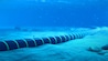 A single transoceanic cable system can cost between $300 million and $1 billion to deploy. A single transoceanic cable system can cost between $300 million and $1 billion to deploy.