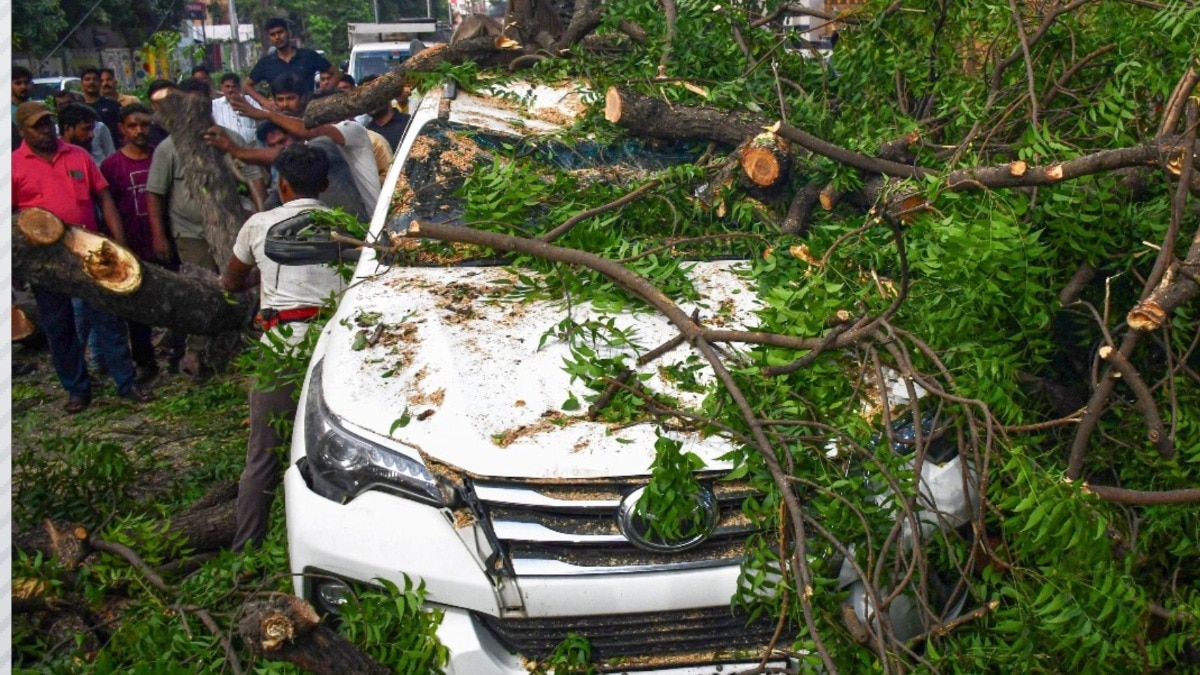 'Deepest condolences': Putin writes to India after storm, heavy rain leave 100 dead in UP