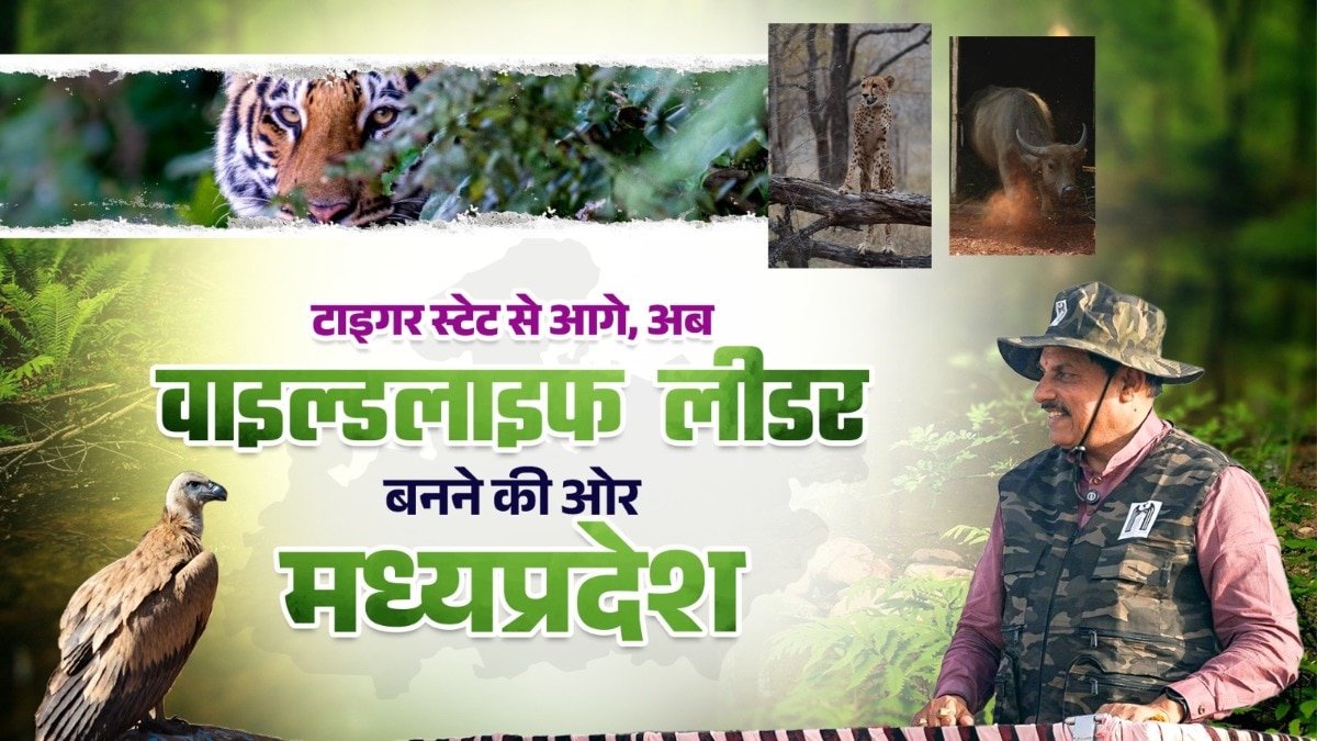 From tiger state to wildlife state: Madhya Pradesh is rewriting India’s conservation map