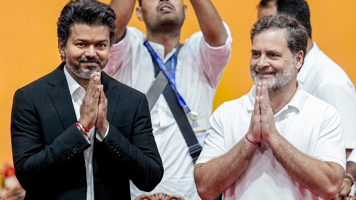Vijay's TVK heading for a majority in Tamil Nadu on its own, preparing to ditch Congress?