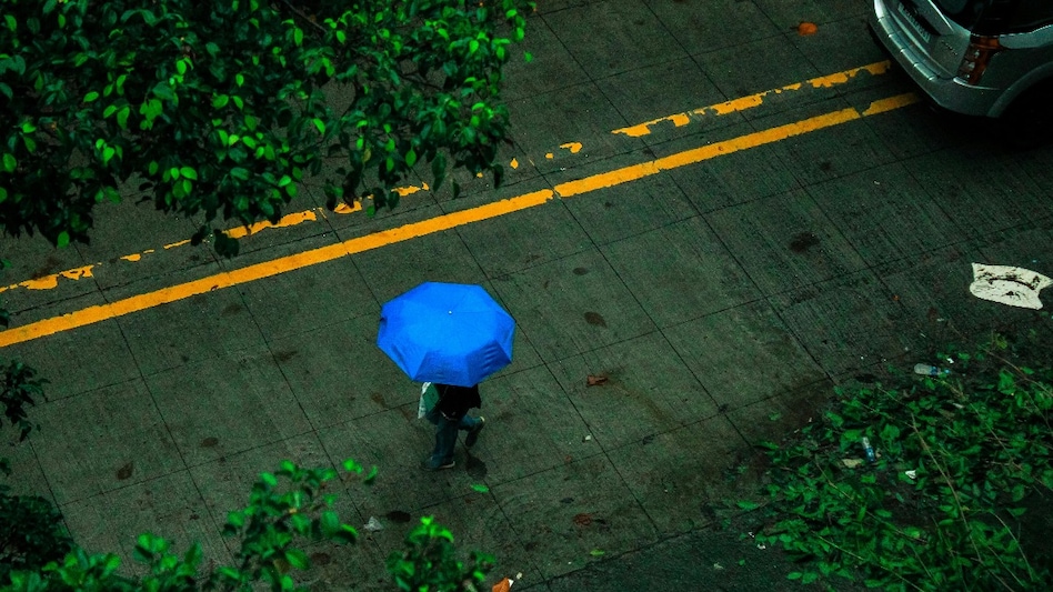 The IMD stated that El Nino conditions are likely to emerge during June and intensify as the monsoon season advances. The IMD stated that El Nino conditions are likely to emerge during June and intensify as the monsoon season advances.