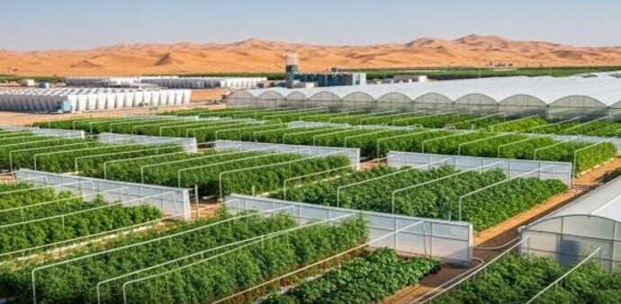China has spent decades battling desertification, particularly in northern and western regions where expanding deserts threaten farmland, infrastructure, and human settlements. China has spent decades battling desertification, particularly in northern and western regions where expanding deserts threaten farmland, infrastructure, and human settlements.