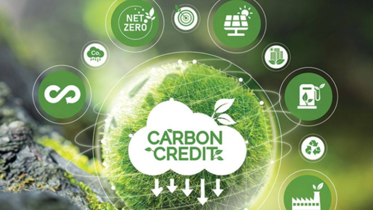 Can India's carbon credit market scale when climate-tech cap