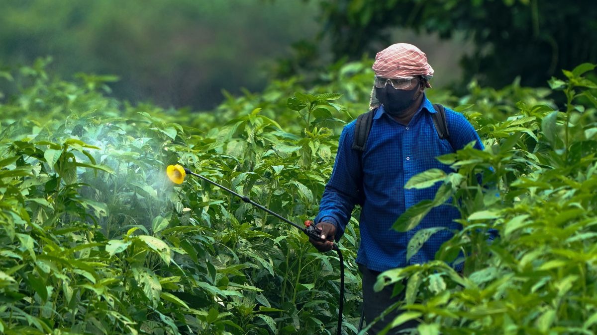 Finance Ministry holds fiscal line to review spending priori