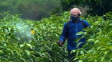 Finance Ministry holds fiscal line to review spending priorities in October Fertilisers have emerged as the most sensitive fiscal challenge.