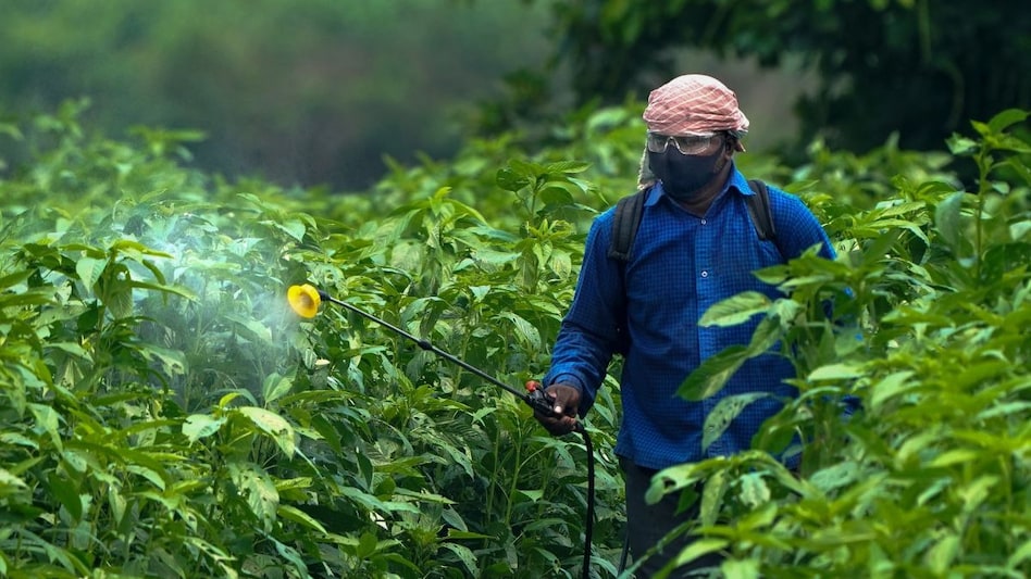 Fertilisers have emerged as the most sensitive fiscal challenge. Fertilisers have emerged as the most sensitive fiscal challenge.