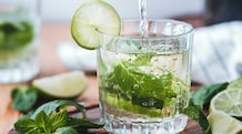 World Gin Day 2026: The best Indian and international gins to pour, sip, and savour this year Saffron, pink guava, and spruce tips: The World Gin Day guide to India's best — and the world's