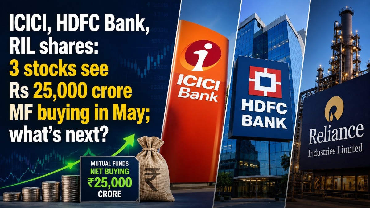 MFs bought into a falling HDFC Bank, with their stakes rising to 25.19 per cent from 24.55 per cent month-on-month. (AI-generated image)