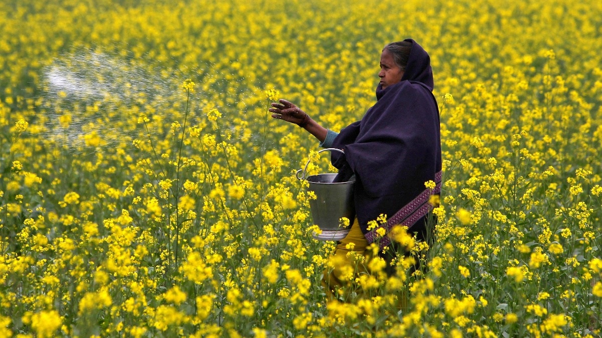 Centre gets fiscal breather as fertiliser subsidy projections are revised lower
