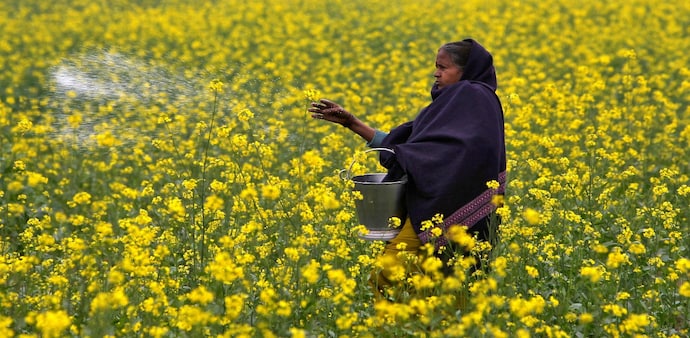 Centre gets fiscal breather as fertiliser subsidy projections are revised lower Centre gets fiscal breather as fertiliser subsidy projections are revised lower