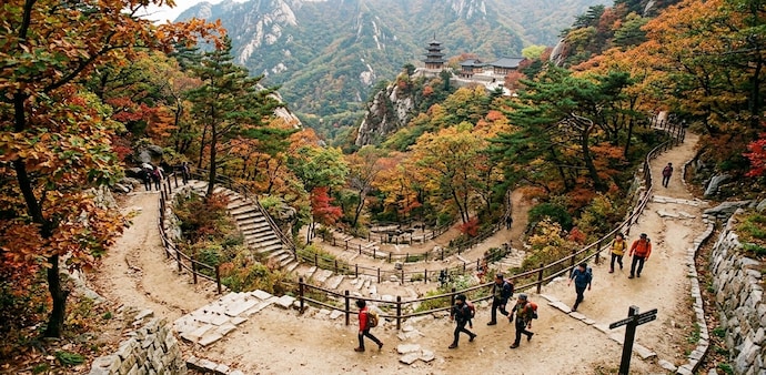 That classic Korean proverb perfectly captures a paradox we’ve all experienced: rushing to save time usually ends up costing us double. That classic Korean proverb perfectly captures a paradox we’ve all experienced: rushing to save time usually ends up costing us double.